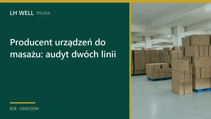Okładka poradnika „Producent urządzeń do masażu: audyt dwóch linii”